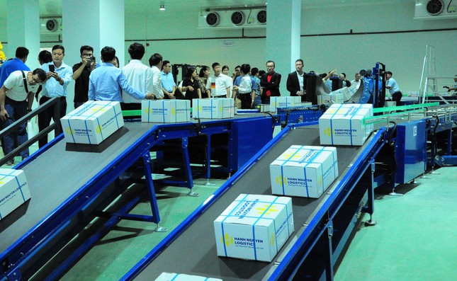 Xuất khẩu nông sản dự kiến đạt kỷ lục 62 tỷ USD - Ảnh 2