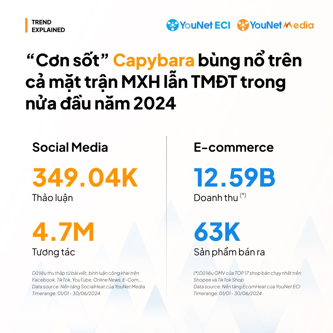 Người Việt chi tới 4,6 tỷ đồng mua “túi mù” trên TikTok Shop, Shopee…; kẹp hoa sứ, Labubu, Capybara cũng không kém cạnh - Ảnh 4