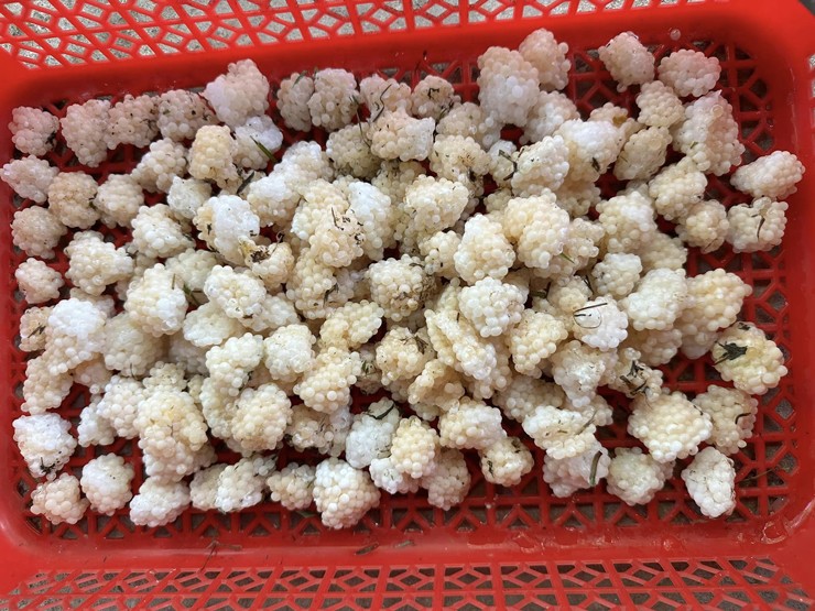 Khởi nghiệp từ 10 triệu đồng, nay 9x thu lãi đến 400 triệu đồng/năm - Ảnh 2