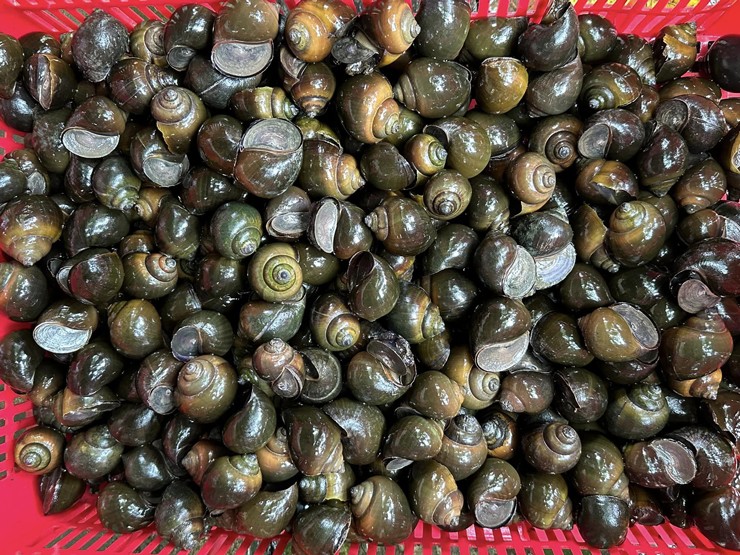 Khởi nghiệp từ 10 triệu đồng, nay 9x thu lãi đến 400 triệu đồng/năm - Ảnh 1