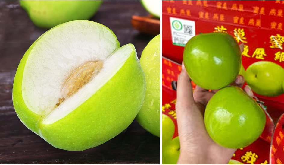 Loại trái cây đắt đỏ bậc nhất thị trường, VN cũng trồng được loại tương tự nhưng giá chỉ vài chục nghìn/kg - Ảnh 4