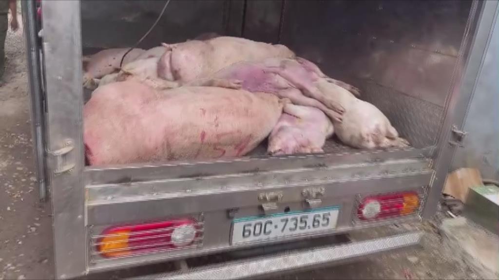 Phát hiện hình ảnh ớn lạnh bên trong 1 lò giết mổ động vật ở Đồng Nai - Ảnh 2
