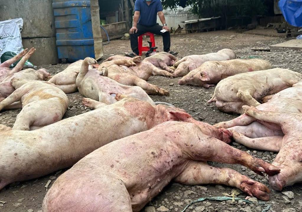 Phát hiện hình ảnh ớn lạnh bên trong 1 lò giết mổ động vật ở Đồng Nai - Ảnh 1