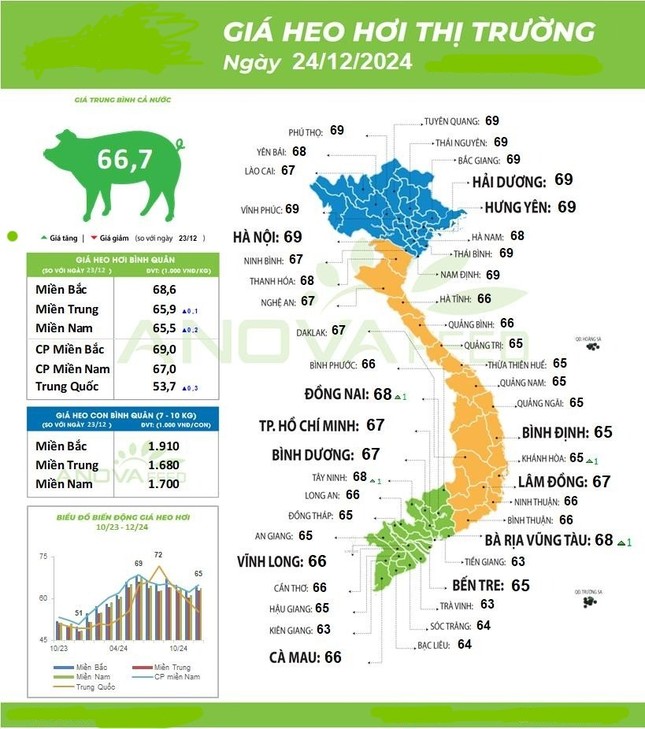 Giá lợn hơi liên tục tăng, cao hơn cả Trung Quốc, Thái Lan - Ảnh 1