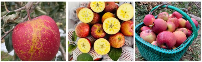 Được quảng cáo ngon như hàng Nhật giá tiền triệu, loại quả 10.000 đồng/kg này có gì mà hấp dẫn đến vậy? - Ảnh 4