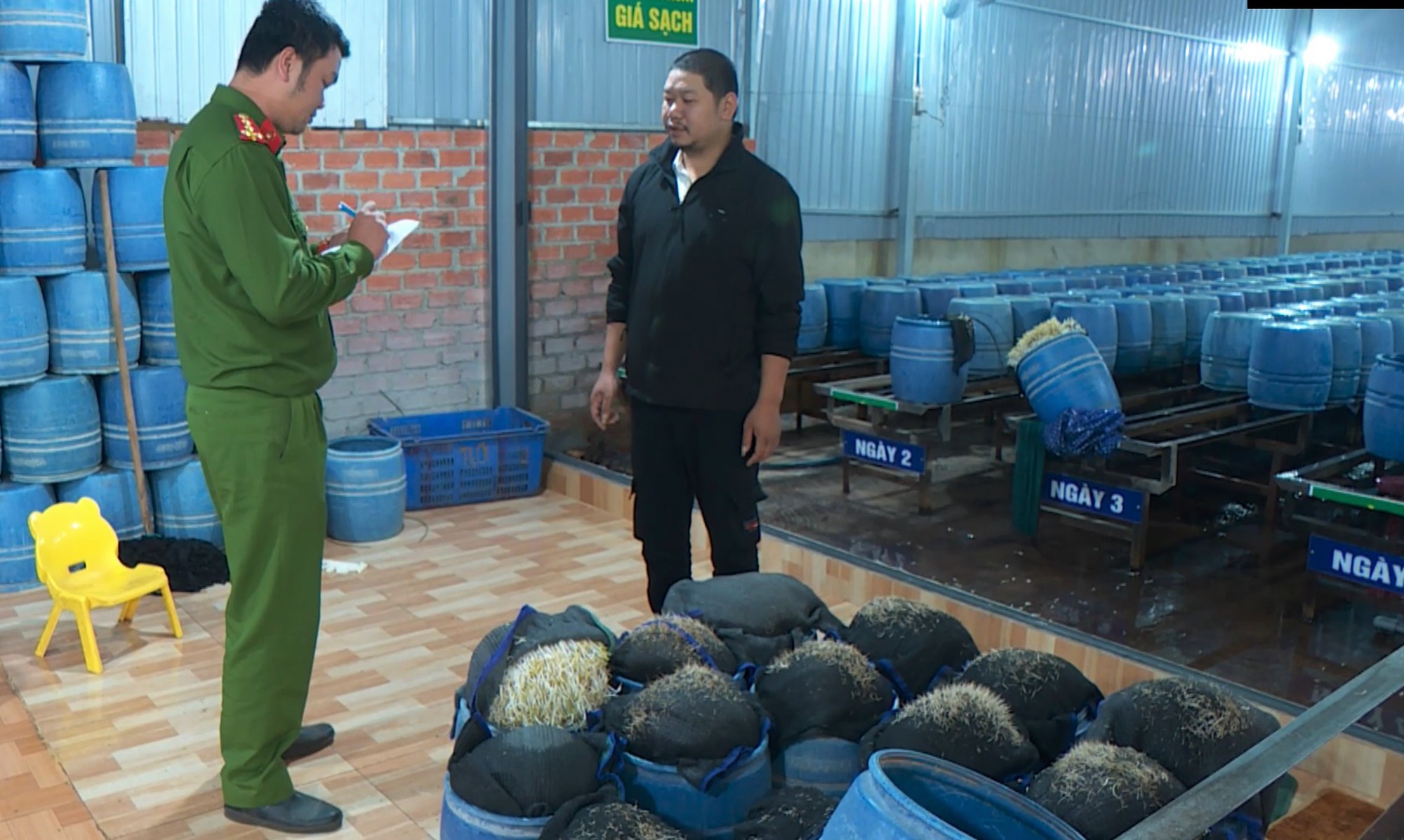 Vụ giá đỗ ủ hóa chất: Giật mình với việc kiểm tra, giám sát - Ảnh 1