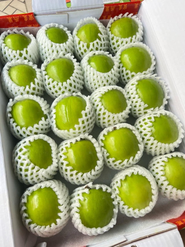 Loại trái cây đắt đỏ bậc nhất thị trường, VN cũng trồng được loại tương tự nhưng giá chỉ vài chục nghìn/kg - Ảnh 2