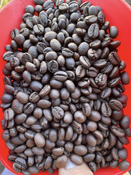 Loại hạt của nông dân Việt đang sốt toàn cầu, nhiều gia đình thu về tiền tỷ: Hóa ra chính là "liều thuốc" sống thọ - Ảnh 7