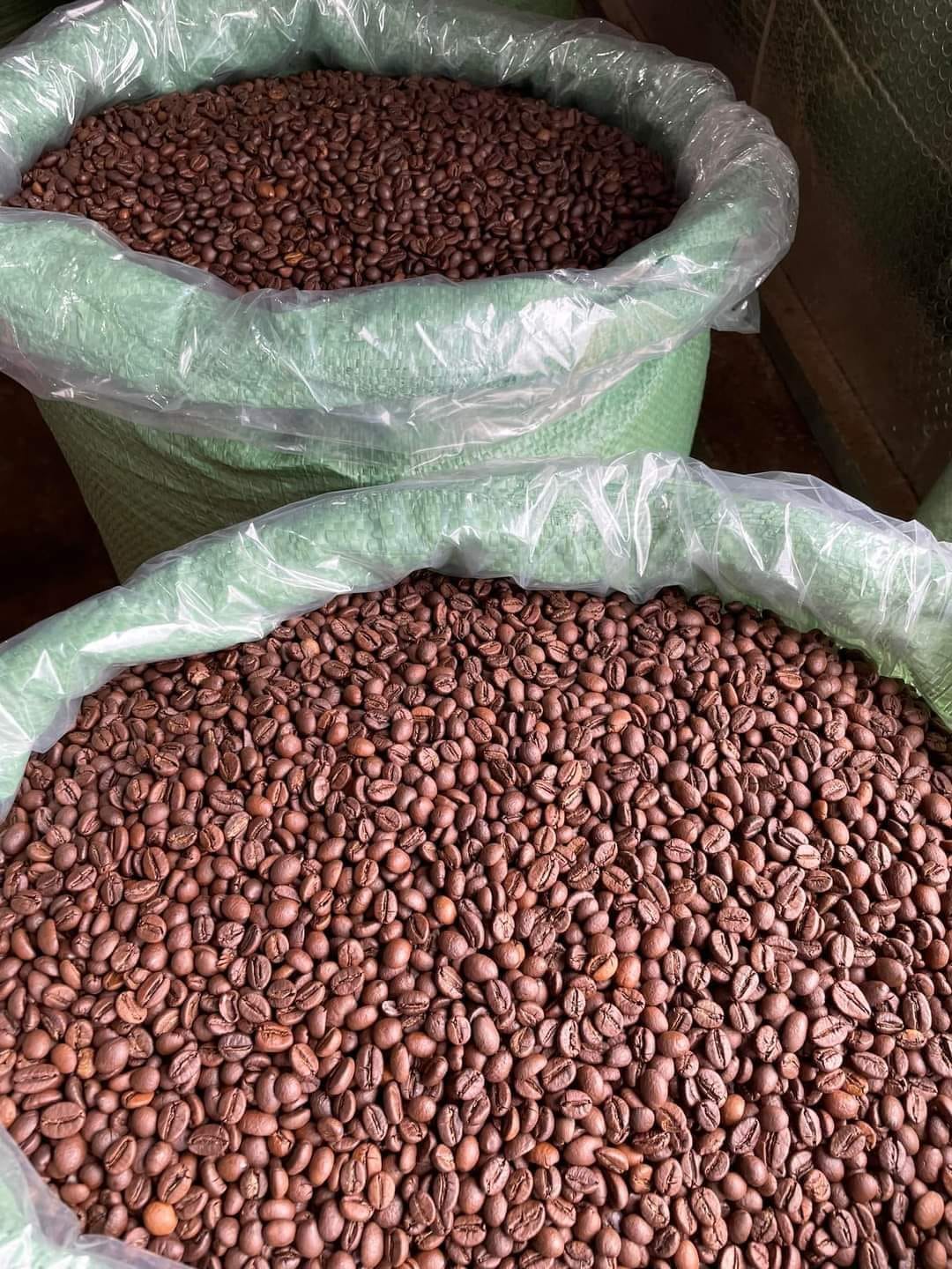 Loại hạt của nông dân Việt đang sốt toàn cầu, nhiều gia đình thu về tiền tỷ: Hóa ra chính là "liều thuốc" sống thọ - Ảnh 8