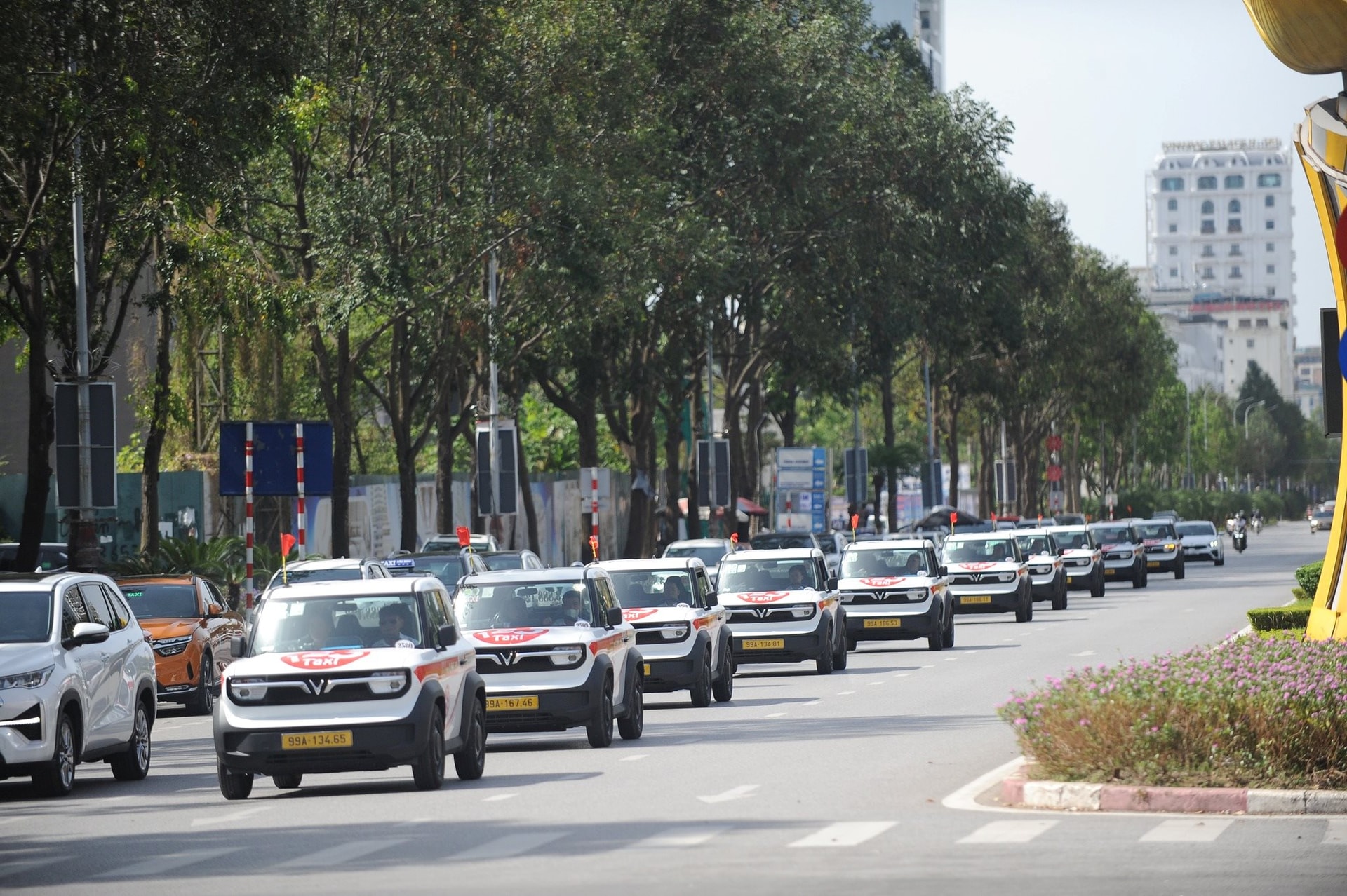 Thêm một hãng taxi điện chuẩn bị đưa VinFast VF 3 vào hoạt động, giá cước mở cửa từ 5.000 đồng - Ảnh 4