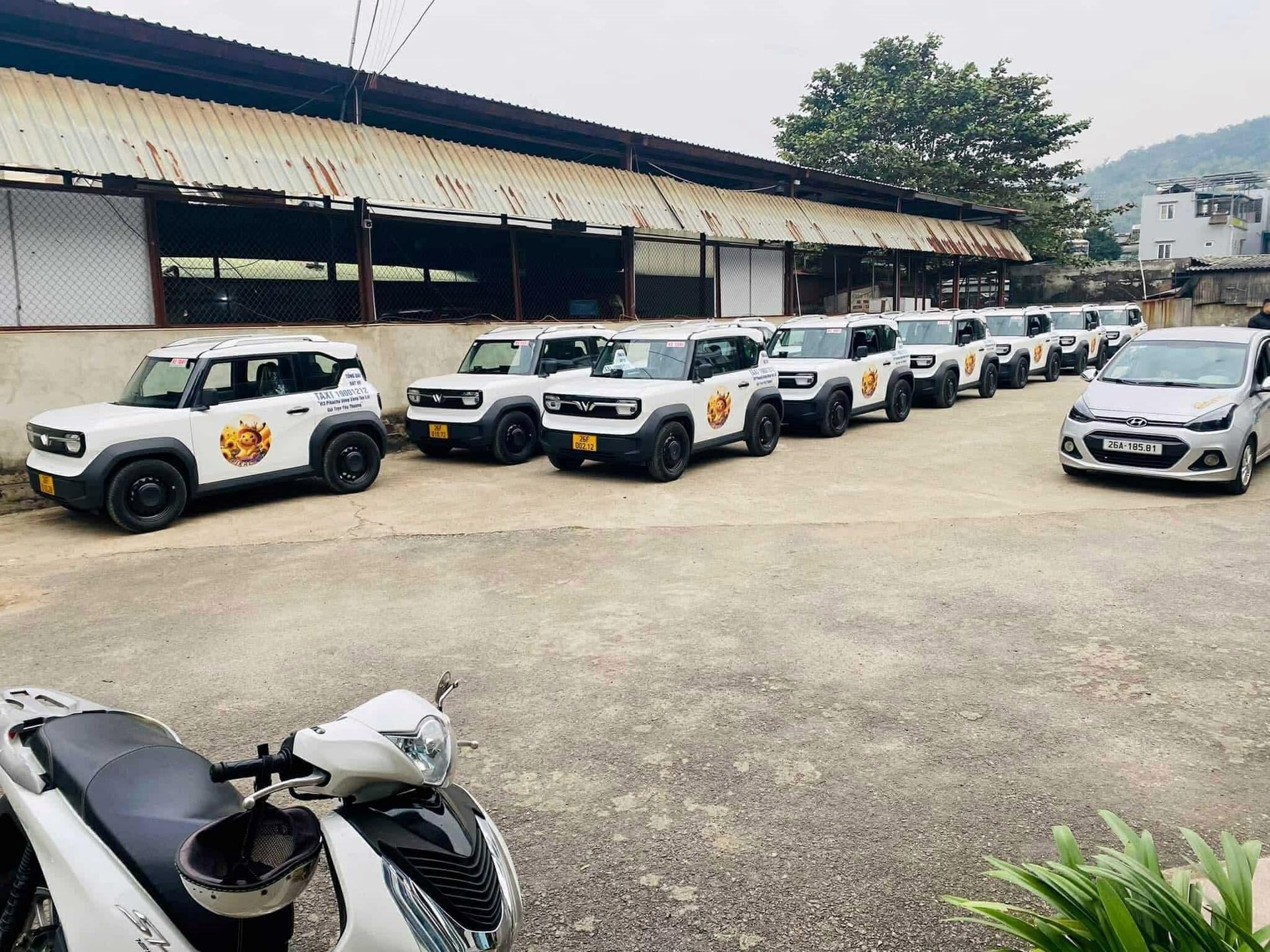 Thêm một hãng taxi điện chuẩn bị đưa VinFast VF 3 vào hoạt động, giá cước mở cửa từ 5.000 đồng - Ảnh 3