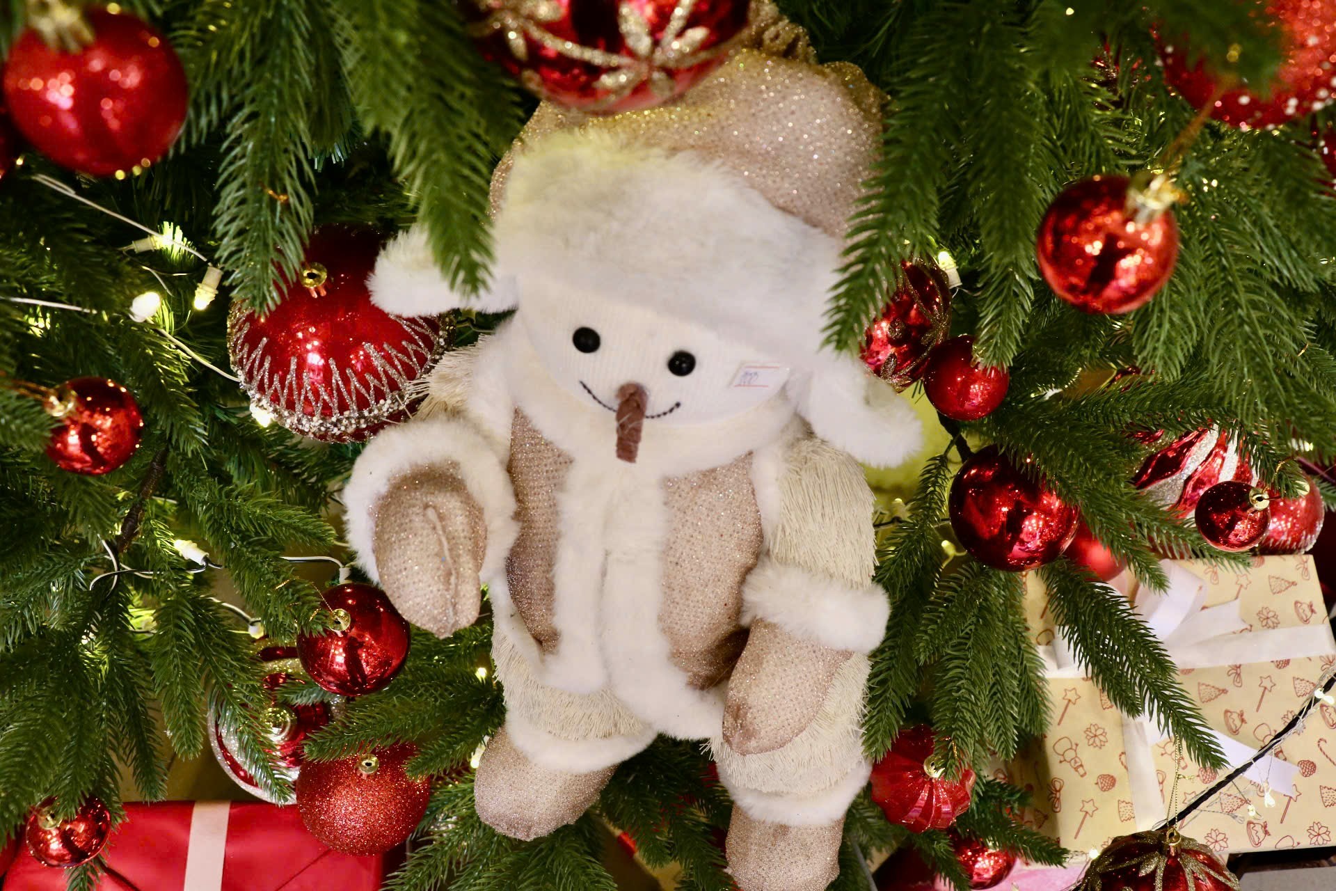 Thị trường Noel Hà Nội: Sản phẩm đa dạng, người mua cầm chừng - Ảnh 12