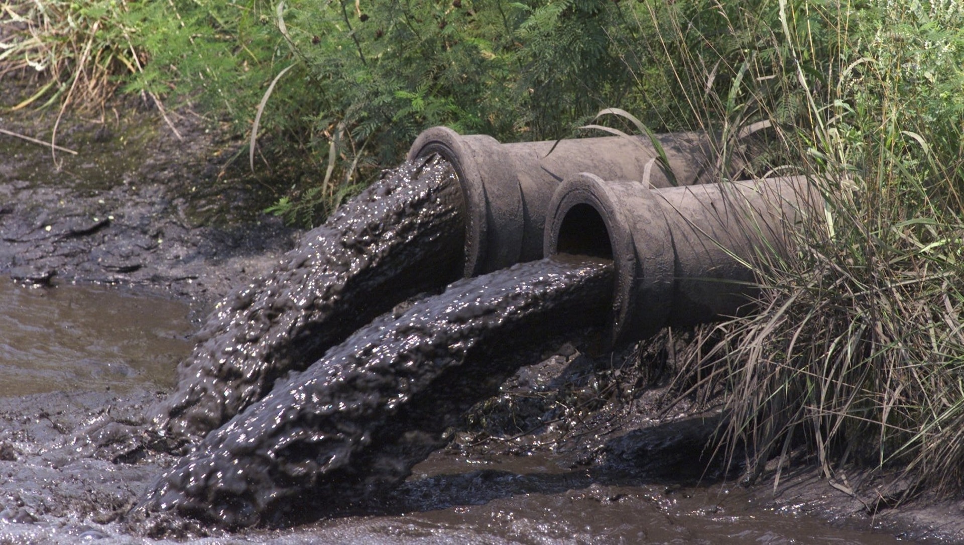 Thứ tưởng chừng vứt đi lại sắp trở thành 'kho báu' giúp Mỹ thoát khỏi khủng hoảng đất hiếm - vừa tiết kiệm tỷ USD, tránh lệ thuộc Trung Quốc lại giải bài toán cả nước Mỹ đau đầu - Ảnh 1