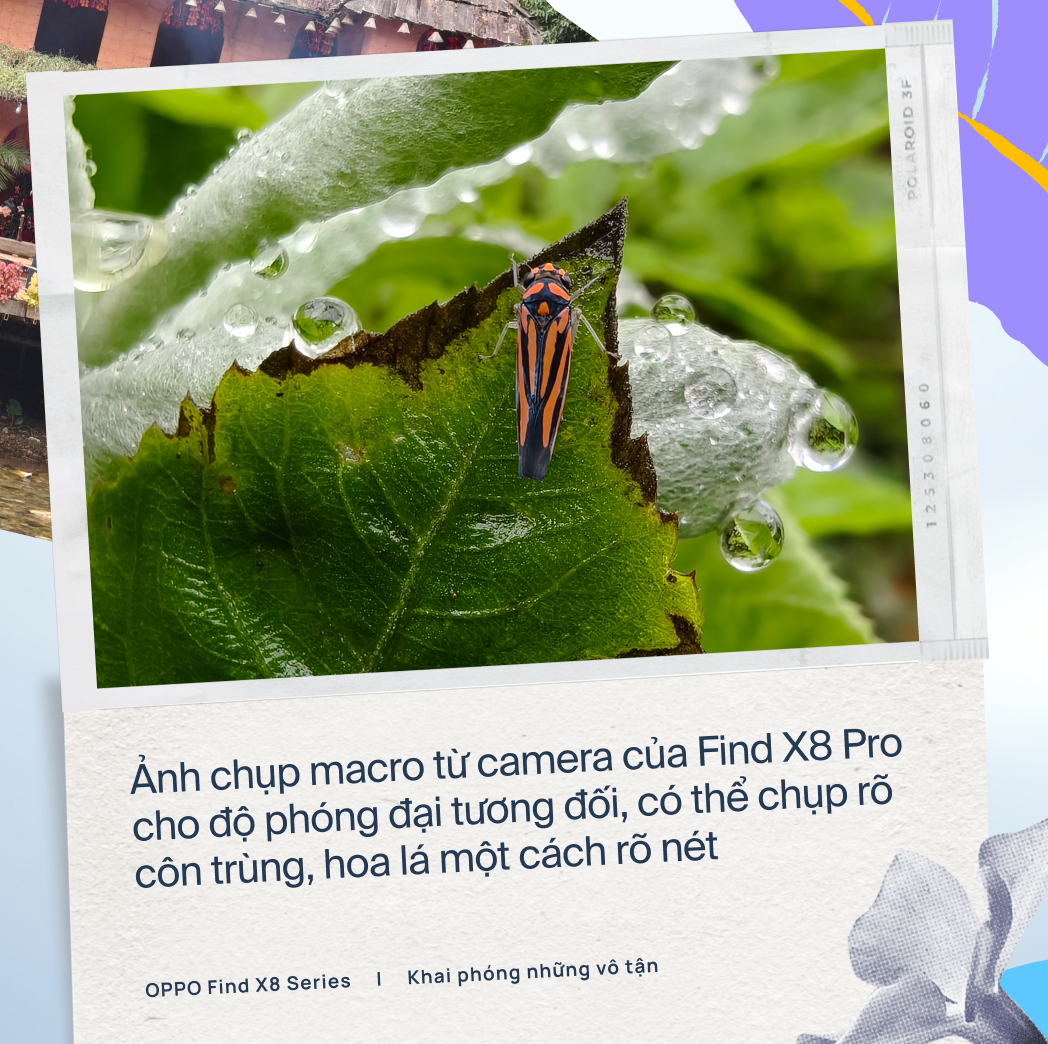 OPPO Find X8 Pro: Flagship với camera đột phá và toàn diện - Ảnh 8