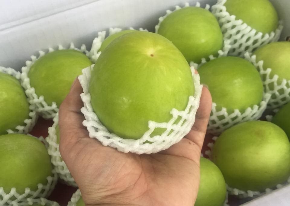 Loại trái cây đắt đỏ bậc nhất thị trường, VN cũng trồng được loại tương tự nhưng giá chỉ vài chục nghìn/kg - Ảnh 1