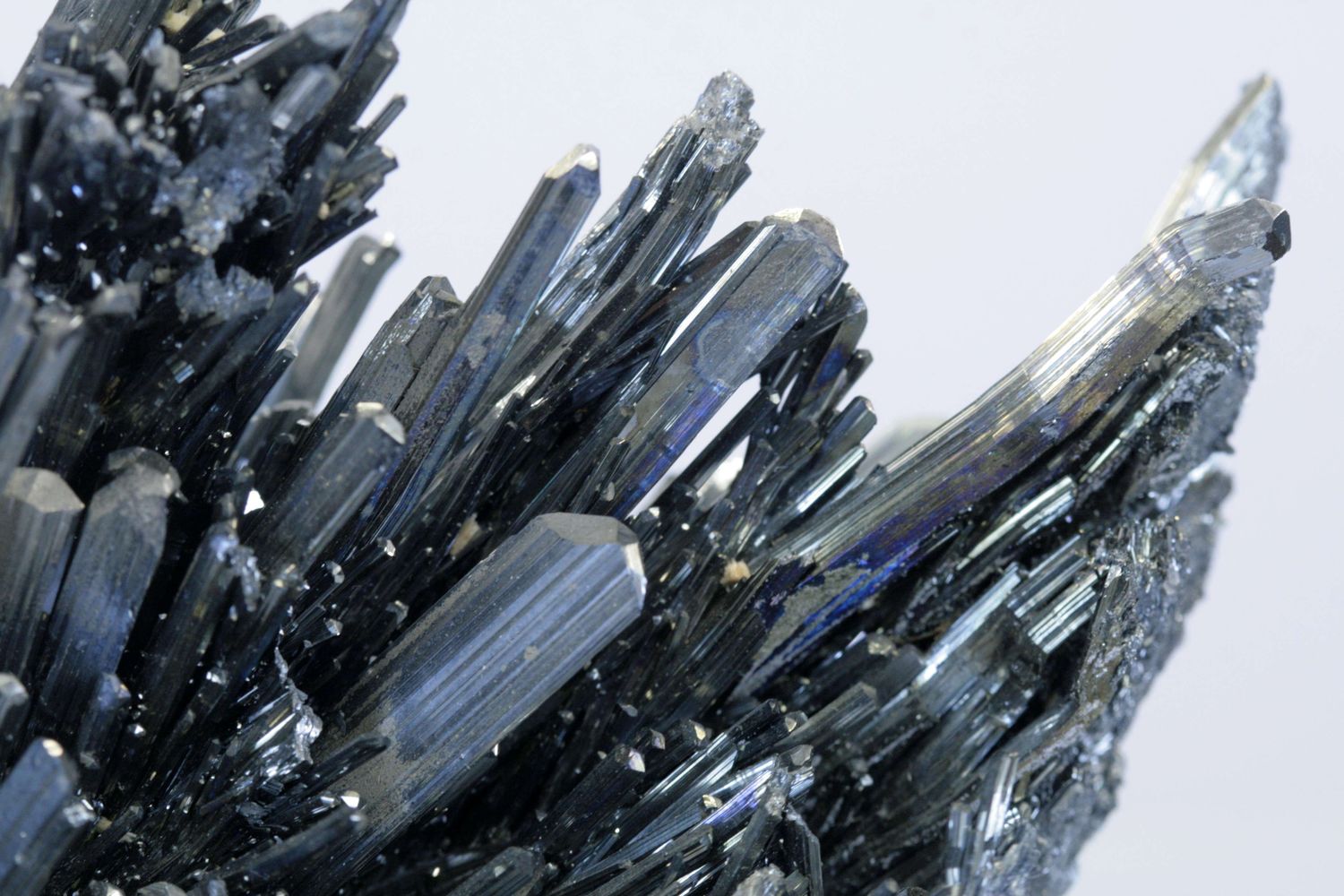 Vượt mặt tốc độ của vàng và Bitcoin, đây là thứ tăng vọt hơn 300%, "hot" nhất 2024: Cả thế giới khát! - Ảnh 1