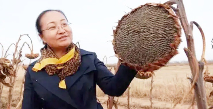 Thứ rẻ bèo người Việt ăn phát ngán, sang Dubai thành món xa xỉ giá gần 700.000đ/kg - Ảnh 1