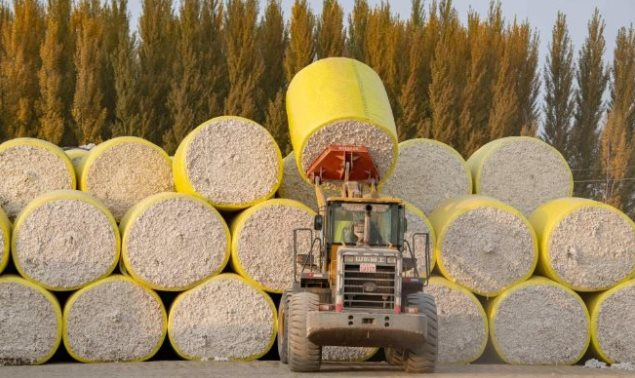 Báu vật quốc gia từ Brazil liên tục đổ bộ Việt Nam: Chi hơn 2 tỷ USD gom hàng, nước ta nhập khẩu đứng thứ 3 thế giới - Ảnh 1