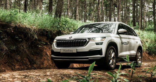 Bộ đôi SUV Skoda giảm giá tối đa 166 triệu tháng cuối năm