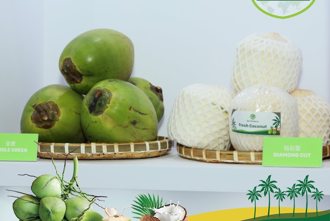 Dừa Việt - ‘Ngôi sao mới nổi’ trong CLB xuất khẩu nông sản tỷ đô: Đấu tay bo với dừa Thái ở xứ Trung, vượt ngàn chông gai chinh phục thị trường Mỹ - Ảnh 1