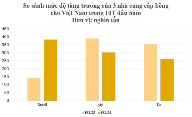 Báu vật quốc gia từ Brazil liên tục đổ bộ Việt Nam: Chi hơn 2 tỷ USD gom hàng, nước ta nhập khẩu đứng thứ 3 thế giới - Ảnh 2