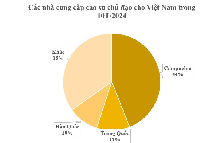 Loại cây gỗ quý từ Campuchia đổ bộ giúp Việt Nam thành ông trùm đứng thứ 3 thế giới: Chi hơn 2 tỷ USD nhập khẩu, nước ta có diện tích hơn 900.000 ha - Ảnh 2