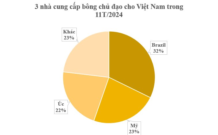Hàng trăm nghìn tấn hàng từ Brazil đổ bộ Việt Nam với giá rẻ bất ngờ: Tiêu thụ đứng top 3 thế giới, nước ra chi hơn 2 tỷ USD gom hàng - Ảnh 3
