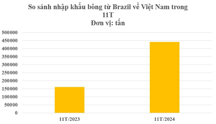 Hàng trăm nghìn tấn hàng từ Brazil đổ bộ Việt Nam với giá rẻ bất ngờ: Tiêu thụ đứng top 3 thế giới, nước ra chi hơn 2 tỷ USD gom hàng - Ảnh 2