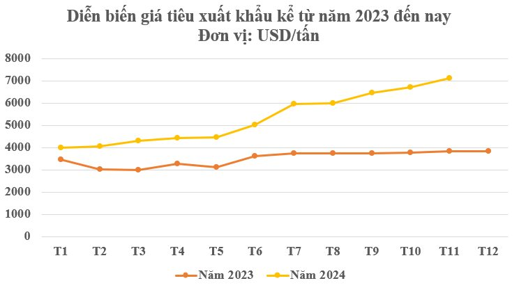 Một loại nông sản thế giới đang lên cơn khát nhưng Việt Nam sở hữu hơn 100.000 ha: Mỹ, Đức liên tục chốt đơn, nước ta là ông trùm xuất khẩu toàn cầu - Ảnh 2