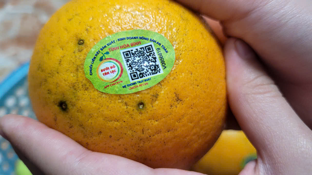 Về "thủ phủ" cam nổi tiếng ở miền Bắc, nông dân thu hàng trăm triệu đồng đến tiền tỉ mỗi ha - Ảnh 4