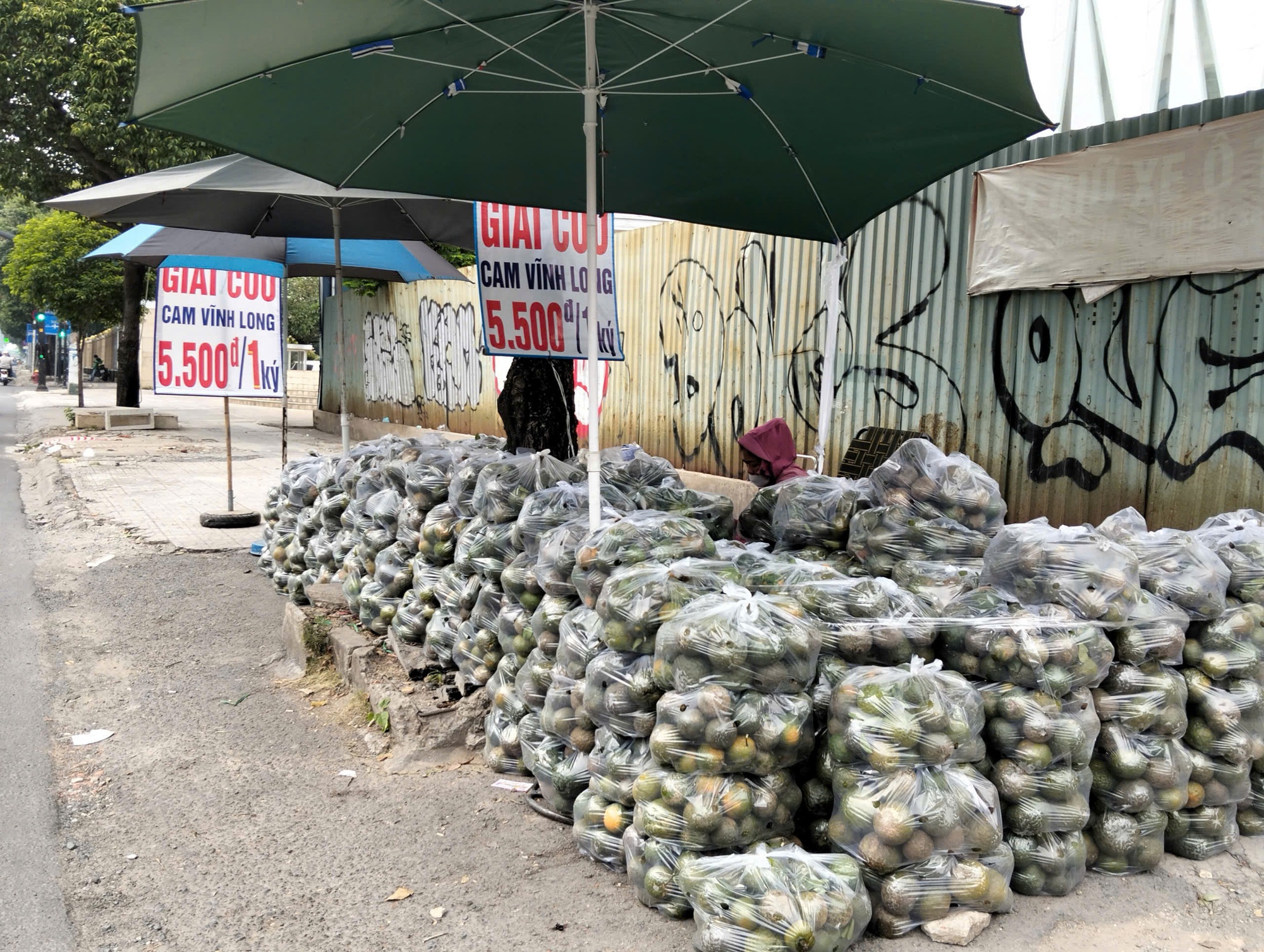 Vì sao khắp nơi ở TP HCM vẫn xuất hiện hình ảnh "giải cứu cam sành"? - Ảnh 1