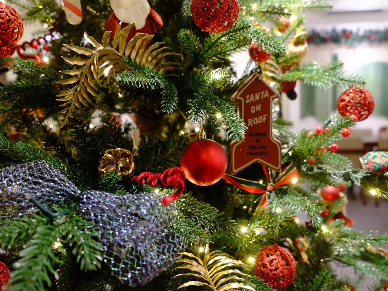 Chủ quán cà phê "hốt bạc" nhờ theo trend chụp hình mùa Noel - Ảnh 6