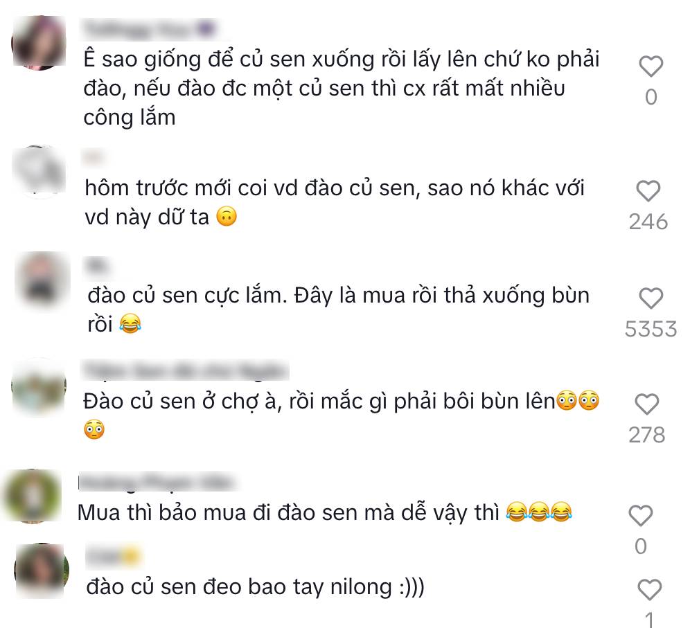 Hot TikToker bị tố "tạo content", mua củ sen về rồi dàn dựng cảnh đi đào, cư dân mạng người bênh kẻ phản đối - Ảnh 9