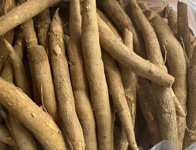 Lý do Trung Quốc liên tục giảm nhập khẩu sắn Việt Nam - Ảnh 1