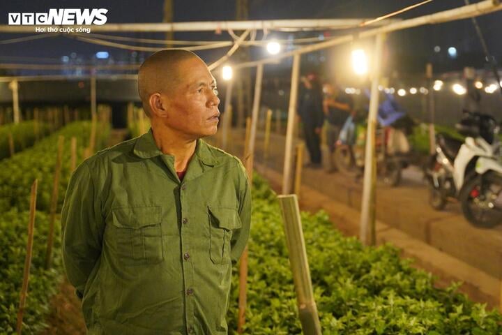 Chong đèn xuyên đêm, bắt hoa nở trúng Tết: 'Thủ phủ' hoa Hà Nội huyền ảo hút mắt - Ảnh 11