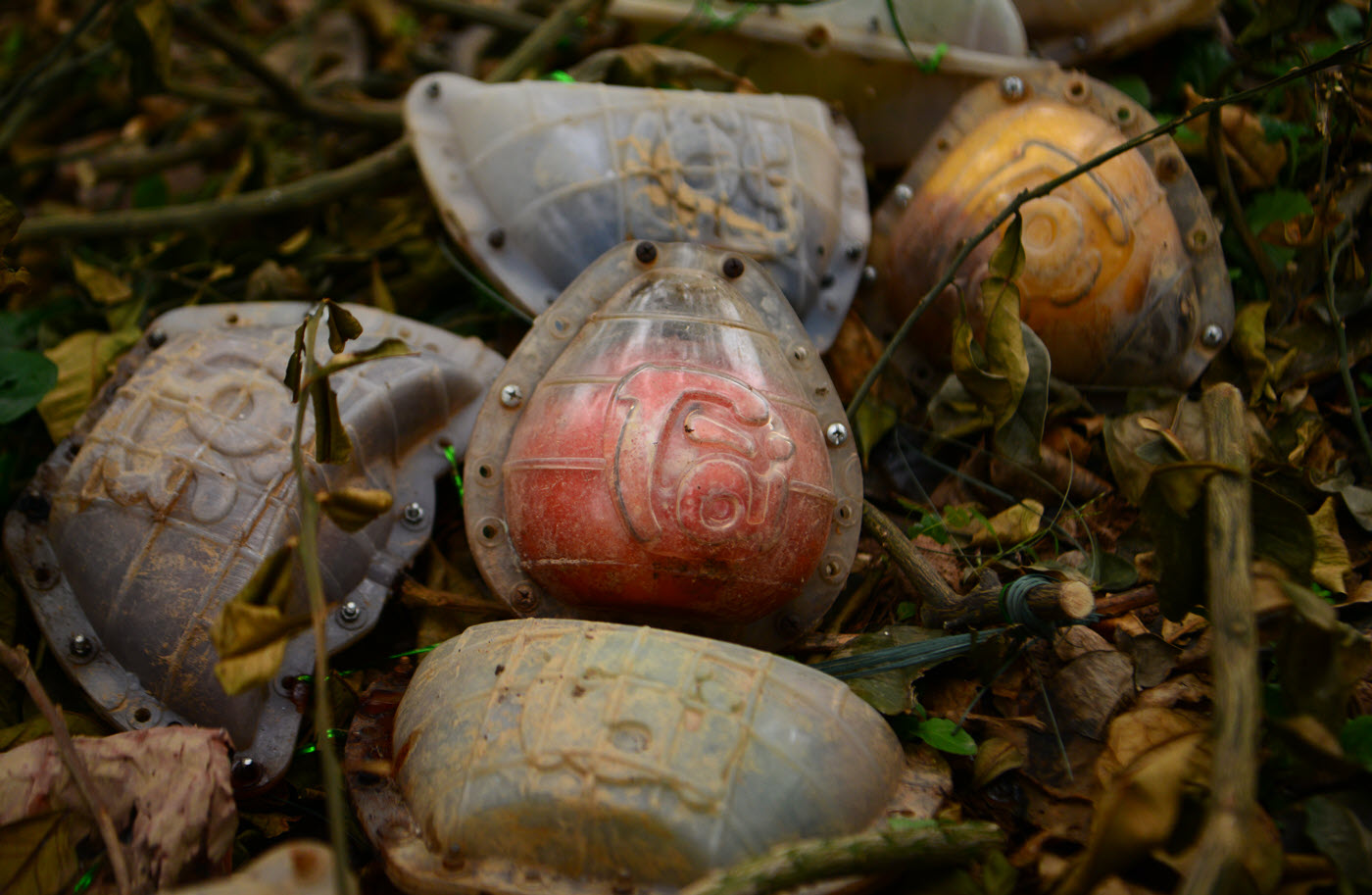 Giống bưởi "đổi màu theo tháng" khan hàng dịp sát Tết vì 1 lý do, người nông dân không giấu được tiếc nuối - Ảnh 5