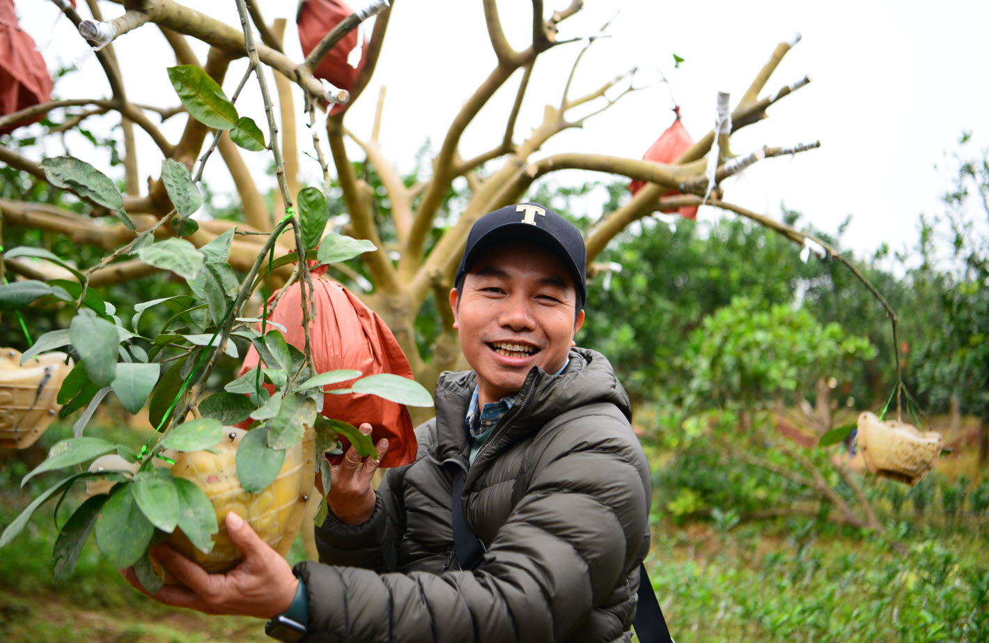 Giống bưởi "đổi màu theo tháng" khan hàng dịp sát Tết vì 1 lý do, người nông dân không giấu được tiếc nuối - Ảnh 3