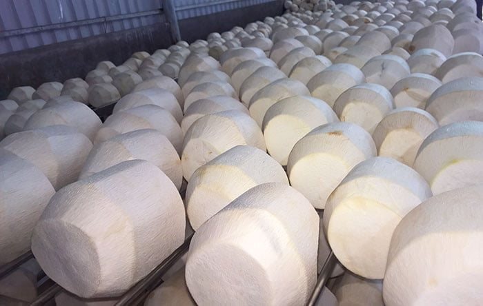 Loại quả xuất khẩu tỷ đô được Trung Quốc rất ưa chuộng, vì sao nhiều nhà máy ở Việt Nam phải đóng cửa? - Ảnh 1