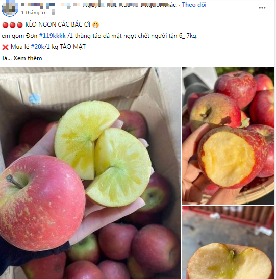 Được quảng cáo ngon như hàng Nhật giá tiền triệu, loại quả 10.000 đồng/kg này có gì mà hấp dẫn đến vậy? - Ảnh 5