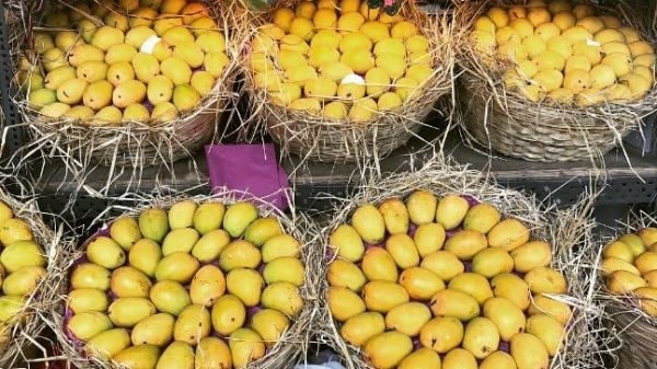 Loại quả được cựu Đại sứ Hoa Kỳ khen 'ngon nhất thế giới': từ Á đến Âu cực mê, Việt Nam đã thu về hơn 300 triệu USD - Ảnh 1