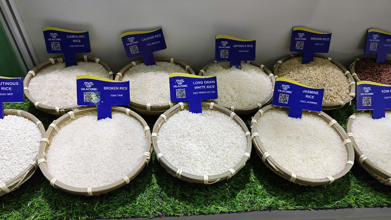 Giải mã kỷ lục xuất khẩu gạo khó tin của Việt Nam - Ảnh 1