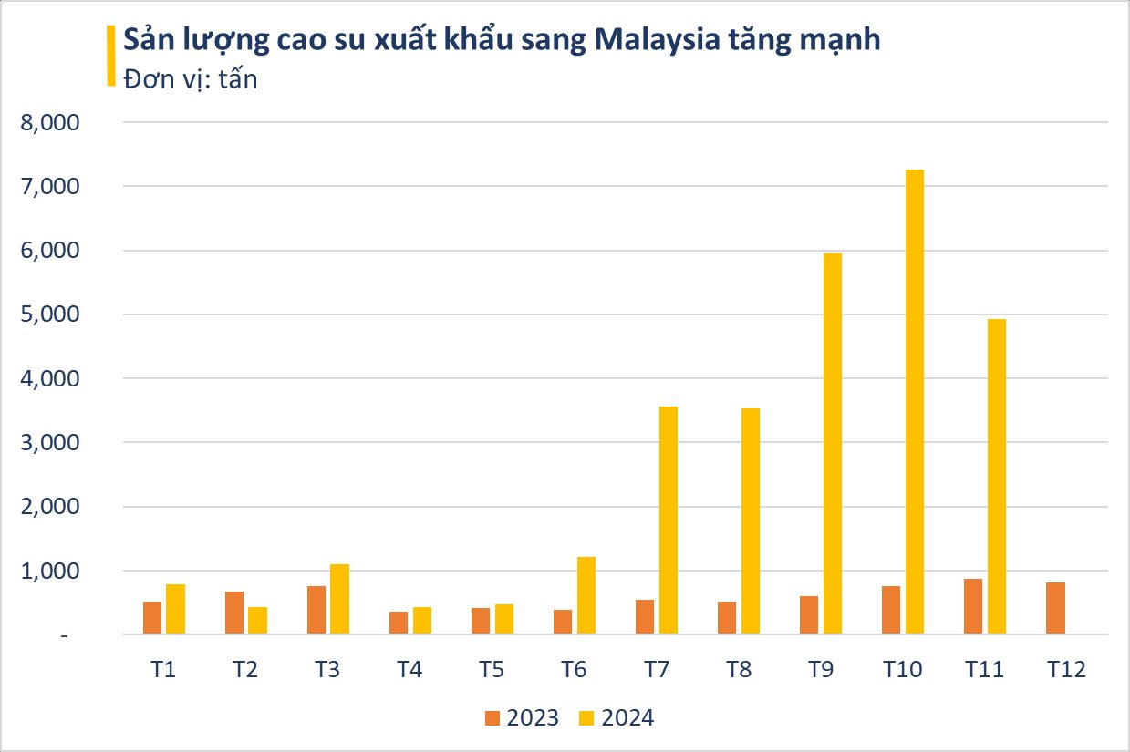 Việt Nam nắm giữ loại gỗ siêu quý được Malaysia ra sức săn lùng: xuất khẩu tăng 500%, diện tích trồng hơn 900.000 ha - Ảnh 3