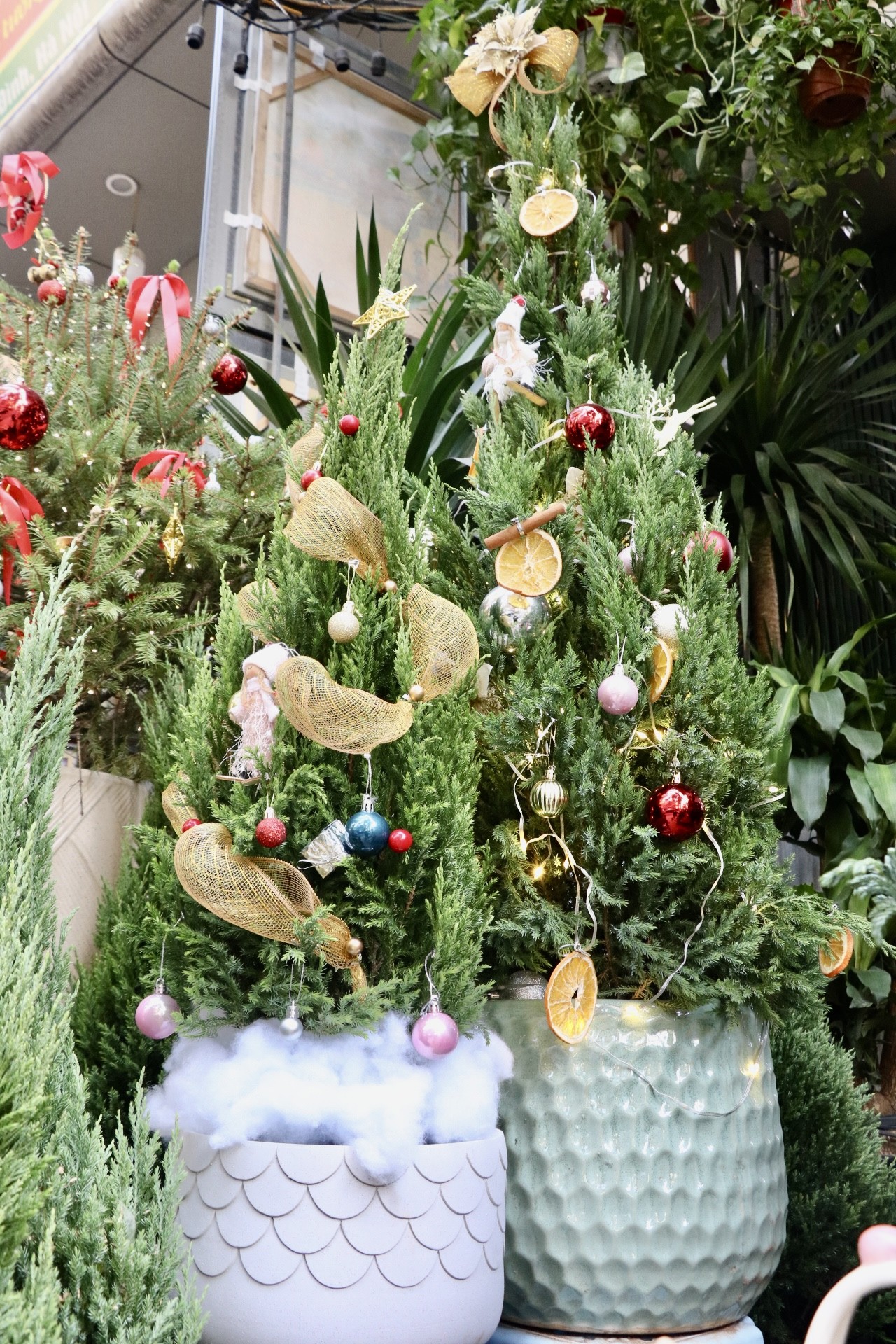 Sơn tùng, thông tươi mini 'lên ngôi' dịp Giáng sinh - Ảnh 4