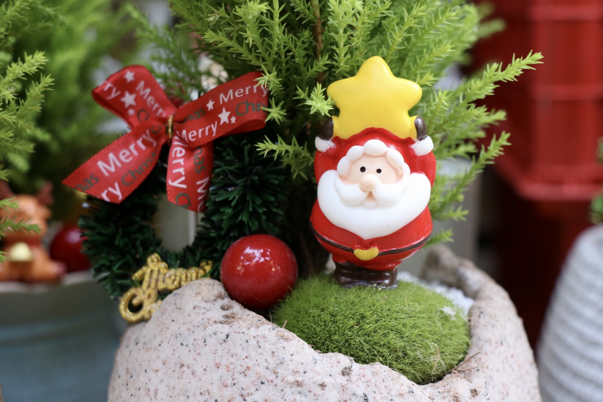 Sơn tùng, thông tươi mini 'lên ngôi' dịp Giáng sinh - Ảnh 9