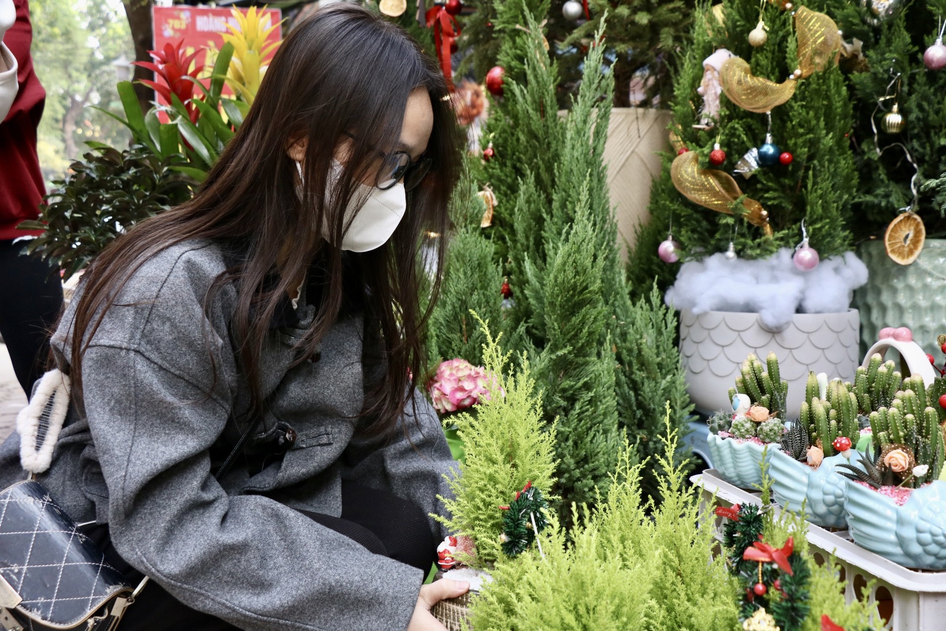 Sơn tùng, thông tươi mini 'lên ngôi' dịp Giáng sinh - Ảnh 8