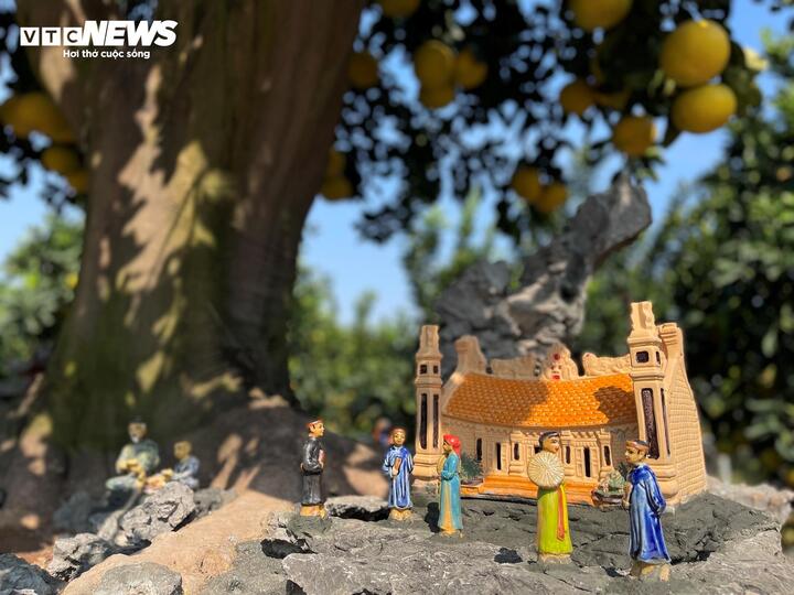 Mãn nhãn cây bưởi cảnh trĩu trịt quả, giá 800 triệu đồng - Ảnh 7