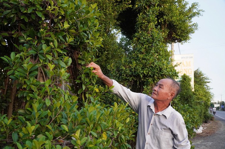 Biến cây thành những con thú khổng lồ, lão nông bỏ túi tiền tỷ - Ảnh 1