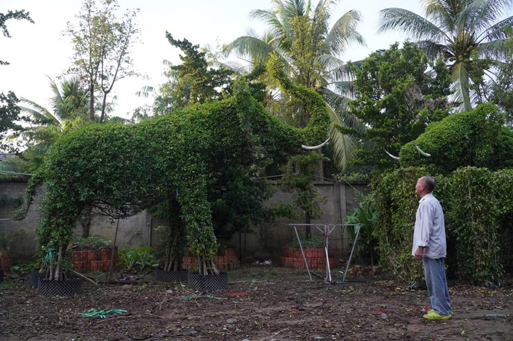 Biến cây thành những con thú khổng lồ, lão nông bỏ túi tiền tỷ - Ảnh 3