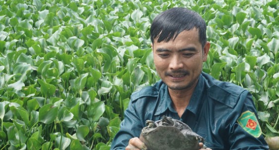 Mạnh dạn nuôi con ăn tạp "dân nhậu thích mê", anh nông dân kiếm 500 triệu đồng rất nhẹ nhàng - Ảnh 1