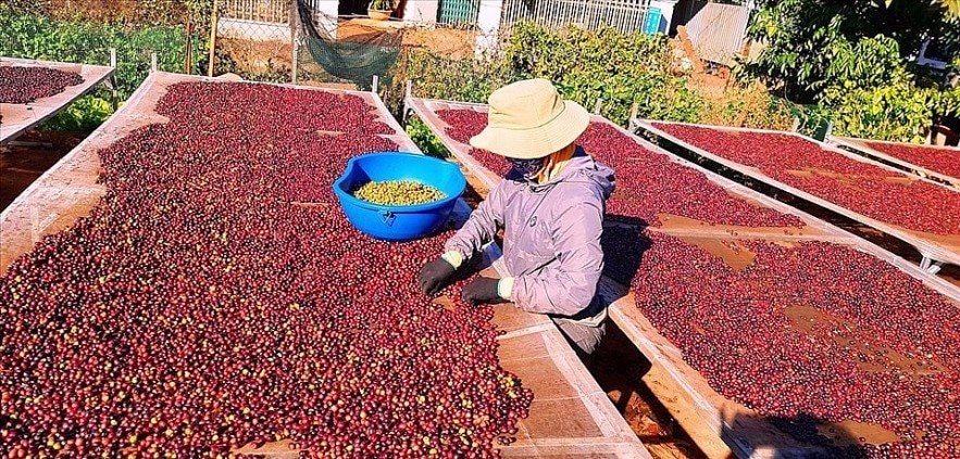 Một nhóm ngành của Việt Nam vừa lập kỷ lục mới, hơn 62 tỷ USD đổ về nước ta - Ảnh 2